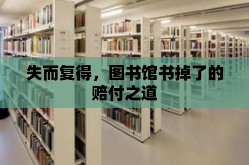 失而復得，圖書館書掉了的賠付之道