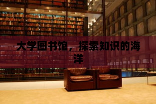 大學圖書館，探索知識的海洋