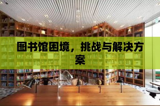 圖書館困境，挑戰與解決方案