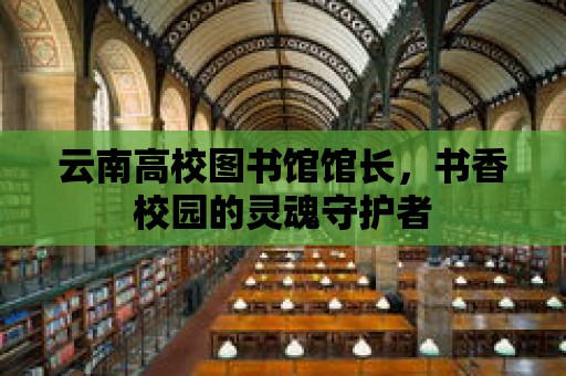 云南高校圖書館館長，書香校園的靈魂守護(hù)者