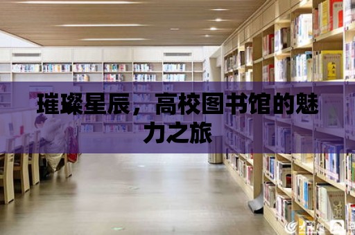 璀璨星辰，高校圖書館的魅力之旅