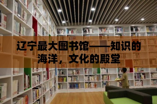 遼寧最大圖書館——知識的海洋，文化的殿堂