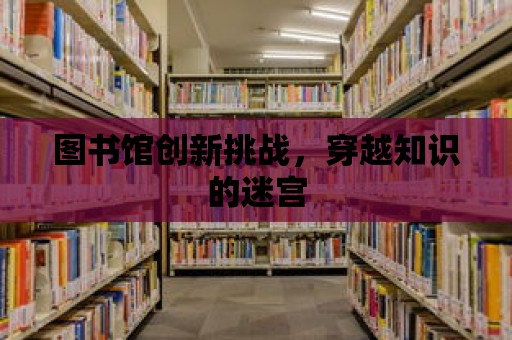 圖書館創新挑戰，穿越知識的迷宮