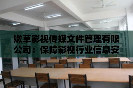 嫩草影視傳媒文件管理有限公司：保障影視行業信息安全的首選