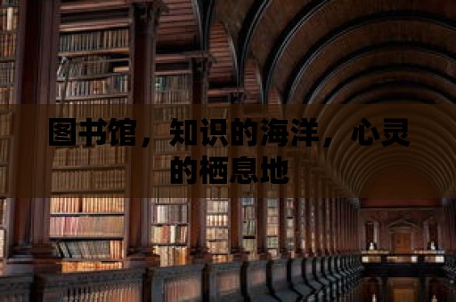 圖書館，知識的海洋，心靈的棲息地