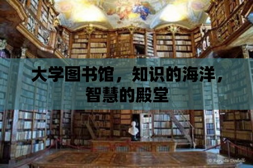 大學圖書館，知識的海洋，智慧的殿堂