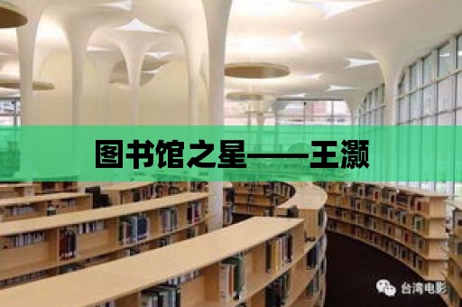 圖書館之星——王灝