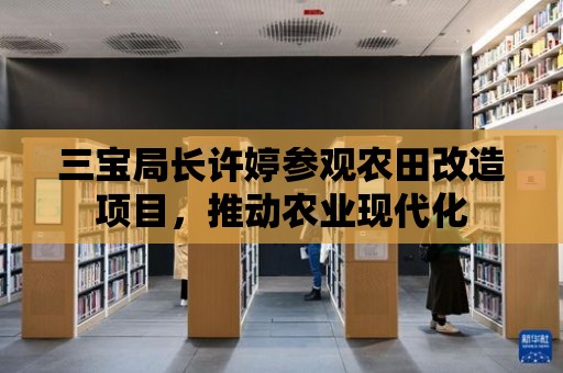 三寶局長許婷參觀農田改造項目，推動農業現代化