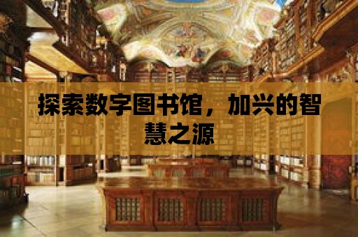 探索數(shù)字圖書館，加興的智慧之源