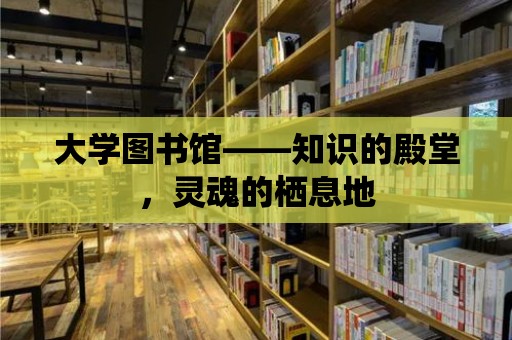 大學圖書館——知識的殿堂，靈魂的棲息地