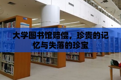 大學(xué)圖書館賠償，珍貴的記憶與失落的珍寶