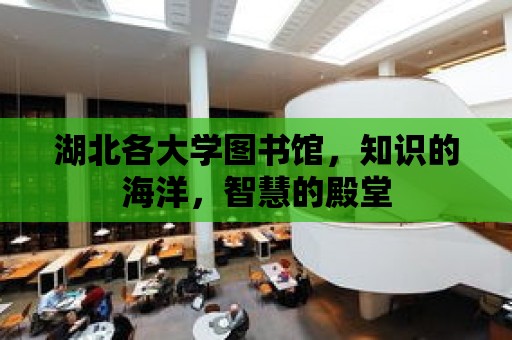 湖北各大學圖書館，知識的海洋，智慧的殿堂