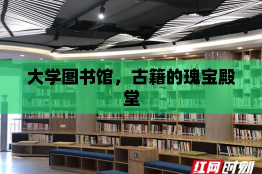 大學圖書館，古籍的瑰寶殿堂