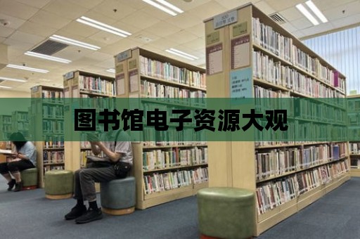 圖書(shū)館電子資源大觀