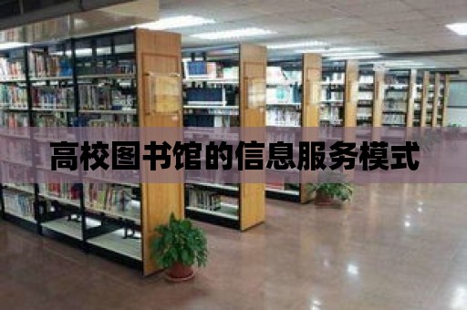 高校圖書館的信息服務(wù)模式