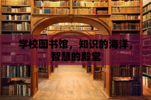 學(xué)校圖書館，知識的海洋，智慧的殿堂