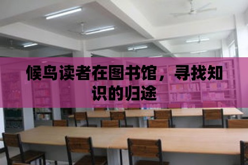 候鳥讀者在圖書館，尋找知識的歸途