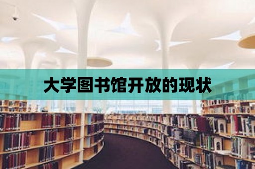 大學(xué)圖書館開放的現(xiàn)狀