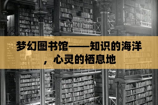 夢(mèng)幻圖書(shū)館——知識(shí)的海洋，心靈的棲息地