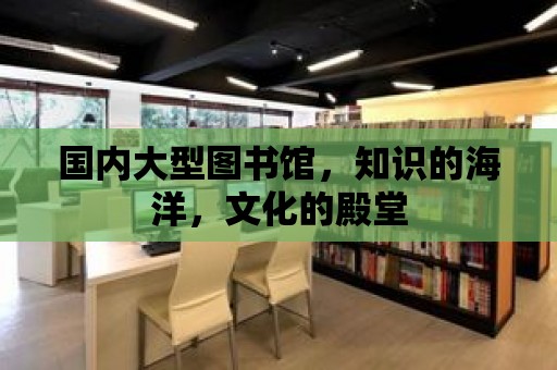 國內大型圖書館，知識的海洋，文化的殿堂