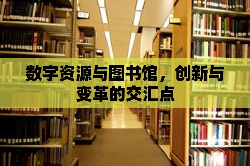 數字資源與圖書館，創新與變革的交匯點