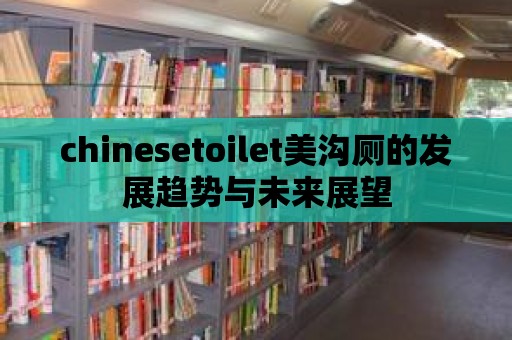 chinesetoilet美溝廁的發(fā)展趨勢(shì)與未來(lái)展望