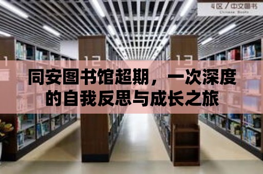 同安圖書館超期，一次深度的自我反思與成長之旅