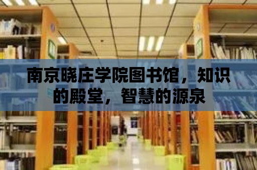 南京曉莊學院圖書館，知識的殿堂，智慧的源泉