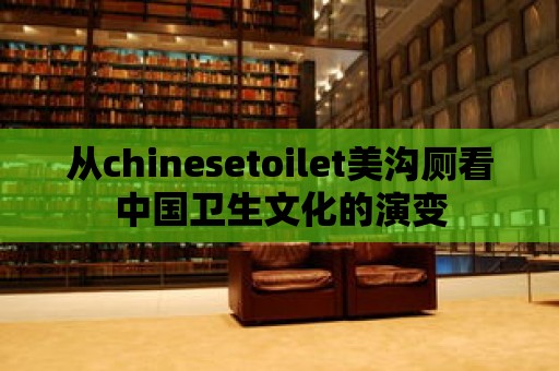 從chinesetoilet美溝廁看中國衛生文化的演變