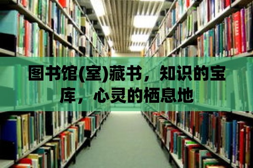 圖書館(室)藏書，知識的寶庫，心靈的棲息地