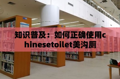 知識普及：如何正確使用chinesetoilet美溝廁