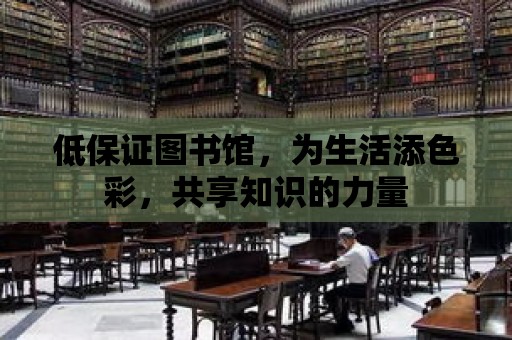 低保證圖書館，為生活添色彩，共享知識(shí)的力量