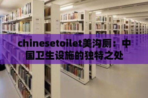 chinesetoilet美溝廁：中國衛生設施的獨特之處