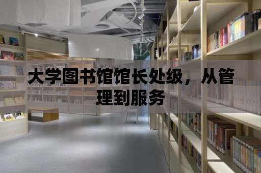 大學圖書館館長處級，從管理到服務