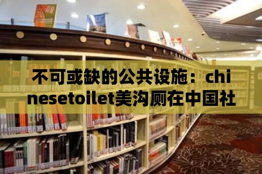 不可或缺的公共設施：chinesetoilet美溝廁在中國社會中的地位