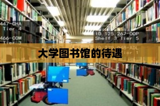 大學圖書館的待遇