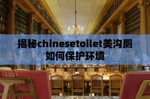 揭秘chinesetoilet美溝廁如何保護環境