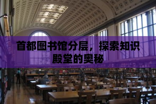 首都圖書館分層，探索知識殿堂的奧秘