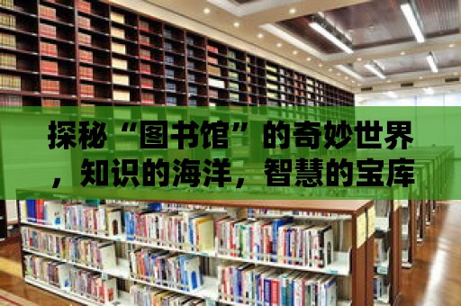 探秘“圖書館”的奇妙世界，知識(shí)的海洋，智慧的寶庫