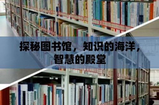 探秘圖書館，知識的海洋，智慧的殿堂