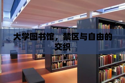 大學圖書館，禁區與自由的交織