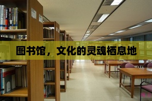 圖書館，文化的靈魂棲息地