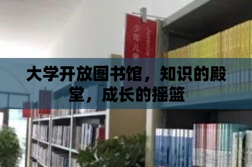 大學開放圖書館，知識的殿堂，成長的搖籃