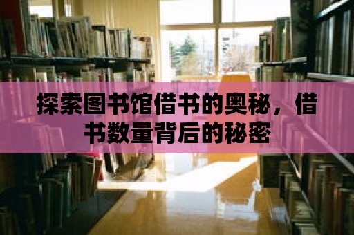 探索圖書館借書的奧秘，借書數量背后的秘密