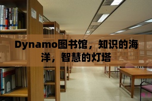 Dynamo圖書館，知識的海洋，智慧的燈塔