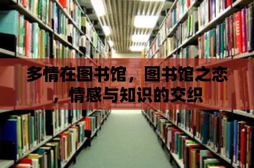 多情在圖書館，圖書館之戀，情感與知識的交織