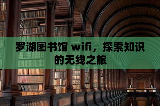 羅湖圖書館 wifi，探索知識的無線之旅