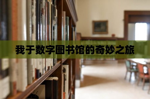 我于數(shù)字圖書館的奇妙之旅