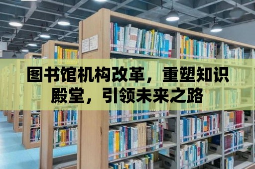 圖書館機構(gòu)改革，重塑知識殿堂，引領(lǐng)未來之路