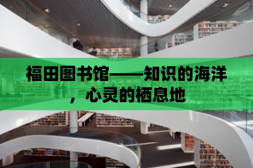 福田圖書館——知識的海洋，心靈的棲息地